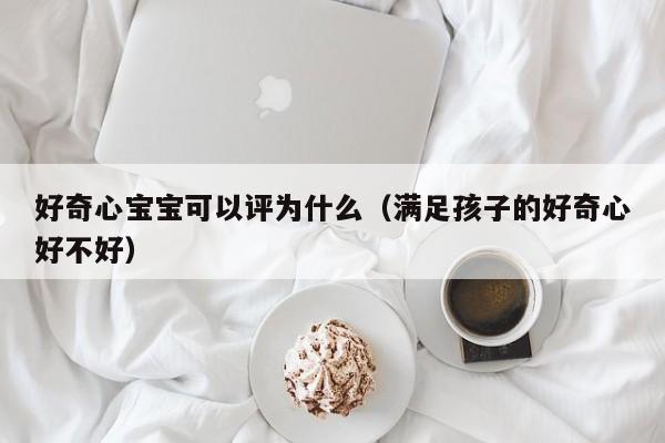 好奇心宝宝可以评为什么（满足孩子的好奇心好不好）