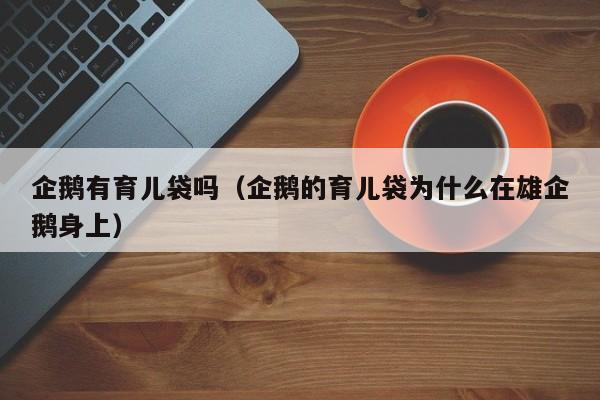 企鹅有育儿袋吗（企鹅的育儿袋为什么在雄企鹅身上）