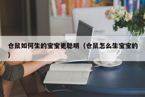 仓鼠如何生的宝宝更聪明（仓鼠怎么生宝宝的）