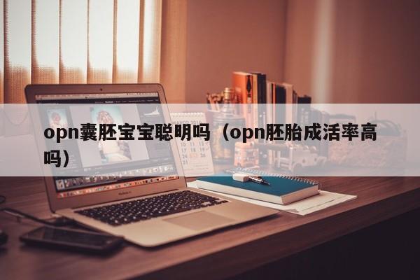 opn囊胚宝宝聪明吗（opn胚胎成活率高吗）