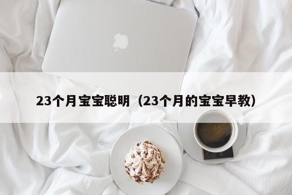 23个月宝宝聪明（23个月的宝宝早教）