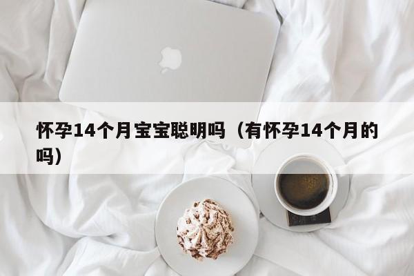 怀孕14个月宝宝聪明吗（有怀孕14个月的吗）