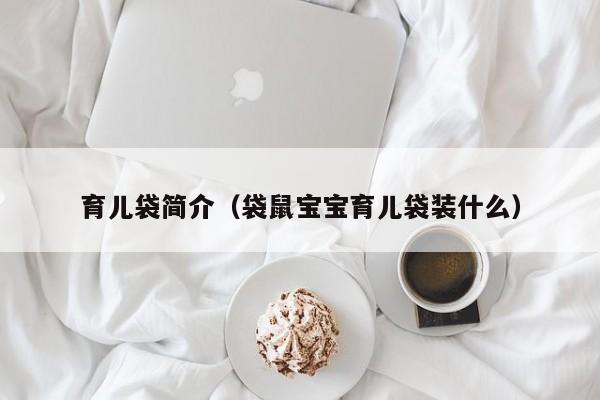 育儿袋简介（袋鼠宝宝育儿袋装什么）