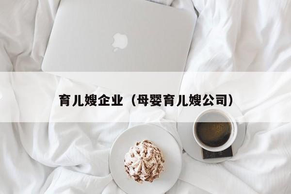 育儿嫂企业（母婴育儿嫂公司）