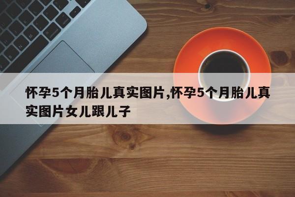 怀孕5个月胎儿真实图片,怀孕5个月胎儿真实图片女儿跟儿子