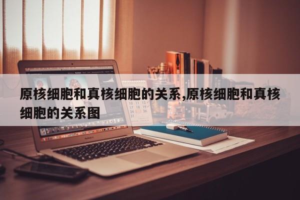 原核细胞和真核细胞的关系,原核细胞和真核细胞的关系图