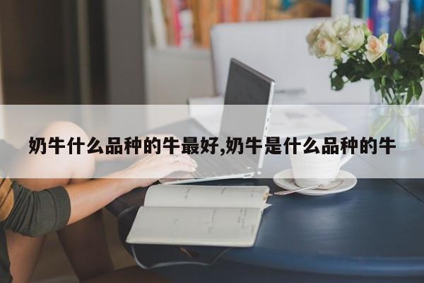 奶牛什么品种的牛最好,奶牛是什么品种的牛