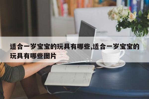 适合一岁宝宝的玩具有哪些,适合一岁宝宝的玩具有哪些图片