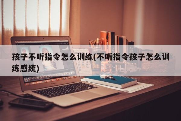 孩子不听指令怎么训练(不听指令孩子怎么训练感统)