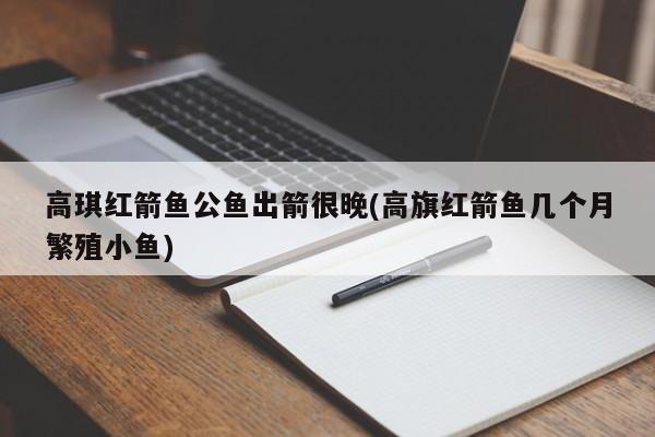 高琪红箭鱼公鱼出箭很晚(高旗红箭鱼几个月繁殖小鱼)