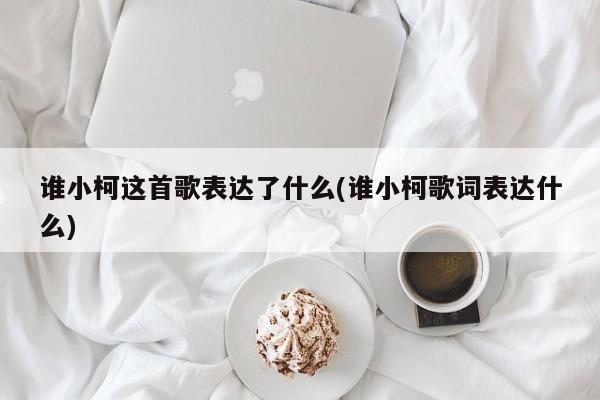 谁小柯这首歌表达了什么(谁小柯歌词表达什么)