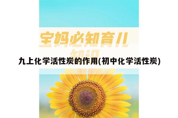 九上化学活性炭的作用(初中化学活性炭)