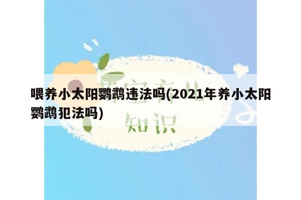 喂养小太阳鹦鹉违法吗(2021年养小太阳鹦鹉犯法吗)