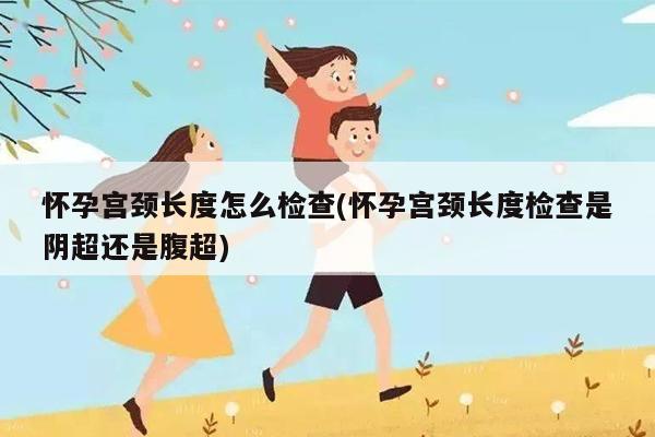 怀孕宫颈长度怎么检查(怀孕宫颈长度检查是阴超还是腹超)