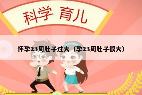 怀孕23周肚子过大（孕23周肚子很大）