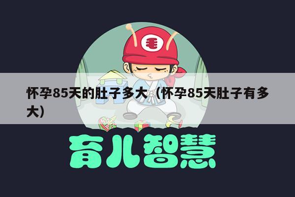 怀孕85天的肚子多大（怀孕85天肚子有多大）