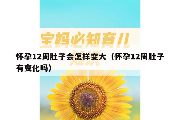 怀孕12周肚子会怎样变大（怀孕12周肚子有变化吗）