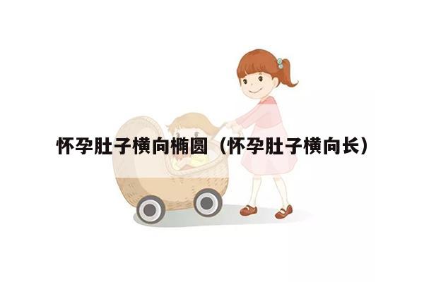 怀孕肚子横向椭圆（怀孕肚子横向长）