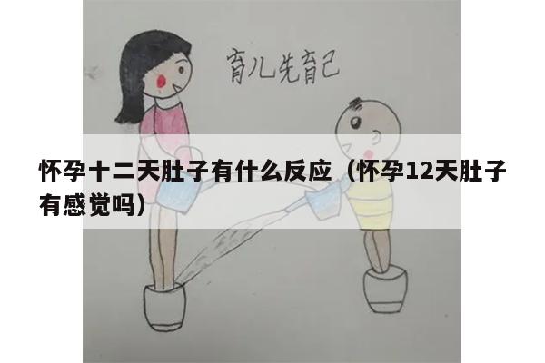 怀孕十二天肚子有什么反应（怀孕12天肚子有感觉吗）