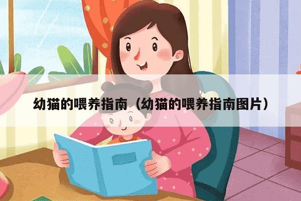 幼猫的喂养指南（幼猫的喂养指南图片）