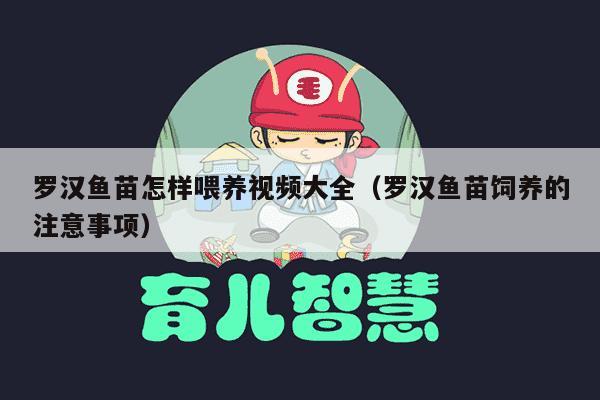 罗汉鱼苗怎样喂养视频大全（罗汉鱼苗饲养的注意事项）