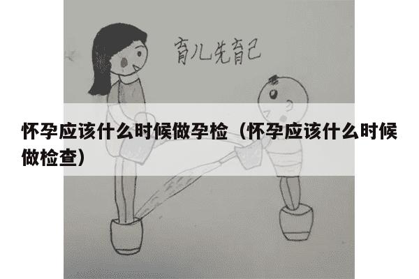 怀孕应该什么时候做孕检（怀孕应该什么时候做检查）